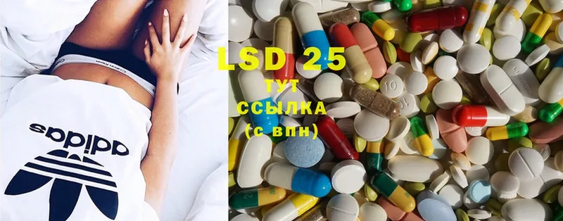 Лсд 25 экстази ecstasy  как найти наркотики  Владимир 